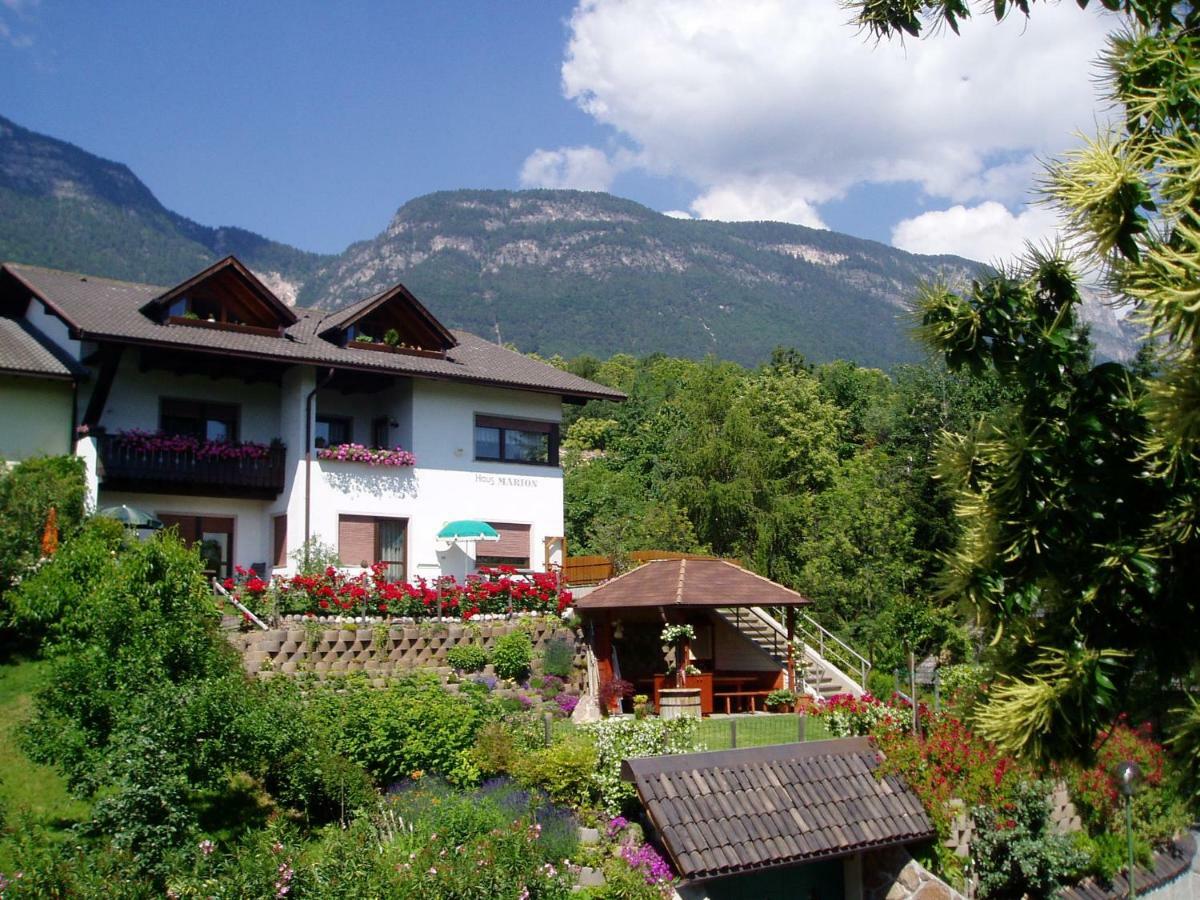 Haus Marion Apartment Appiano Sulla Strada Del Vino Exterior photo